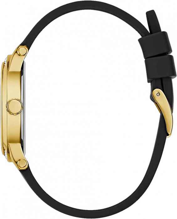 GW0860L1