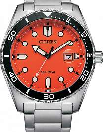 AW1760-81X
